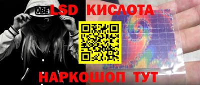 дмт Славгород