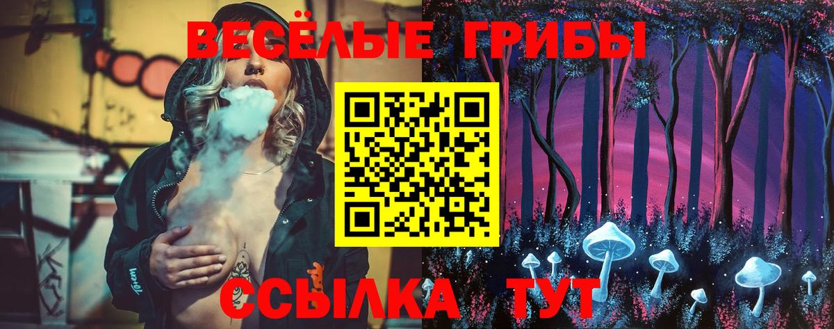 Галлюциногенные грибы прущие грибы  где купить наркоту  Бийск  Псилоцибиновые грибы Psilocybine cubensis  Вход с VPN 